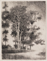 KG 1995 002
<br/>
Zomerregen
<br/>
<em>Wesseling, Riek (1914-1995)</em>
